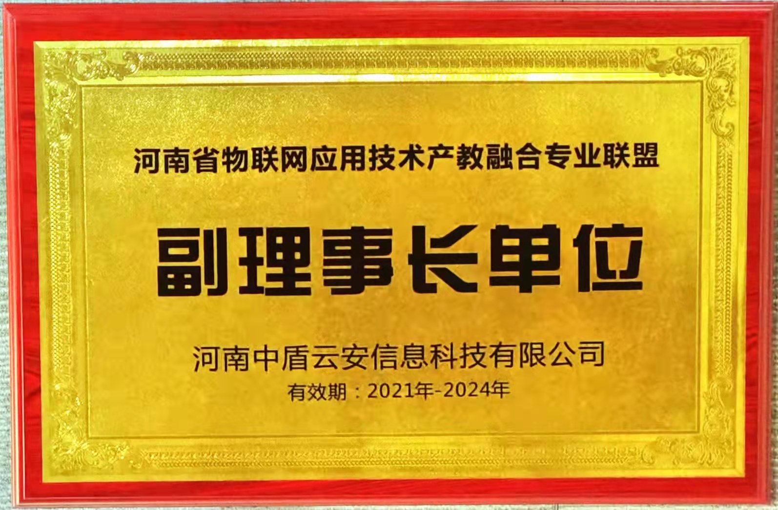 副理事长单位